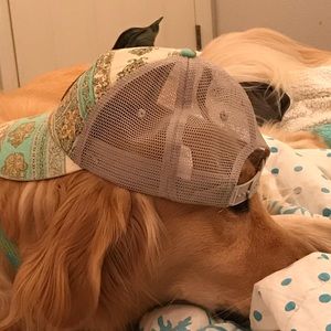 Meet your Posher, Laura